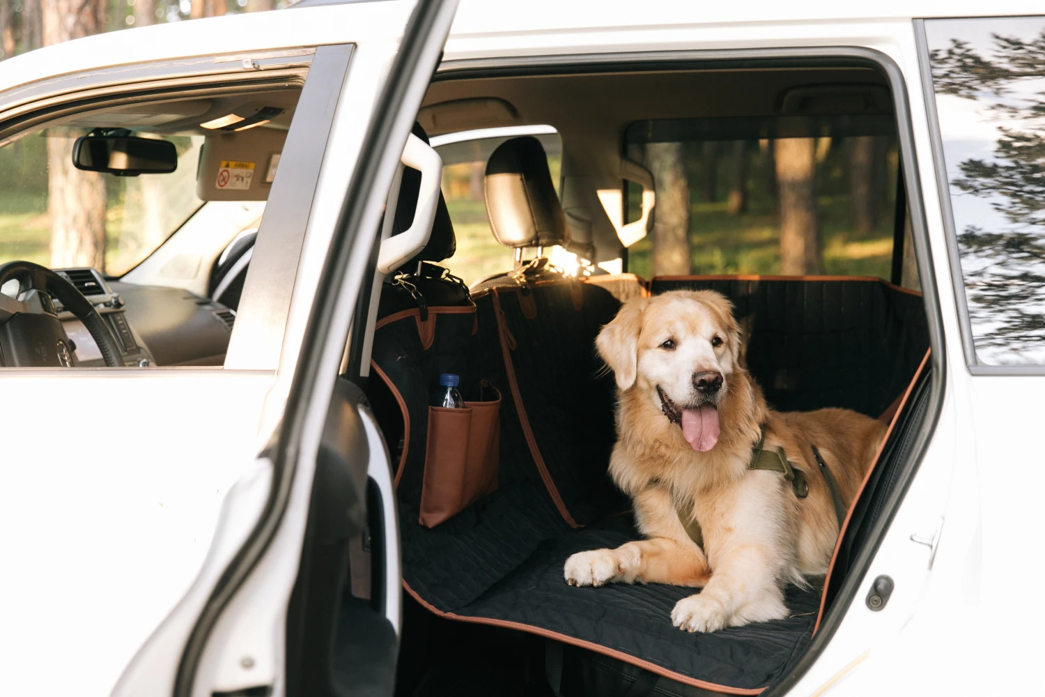 BMW X5 back seat cover for Pembroke Welsh Corgis