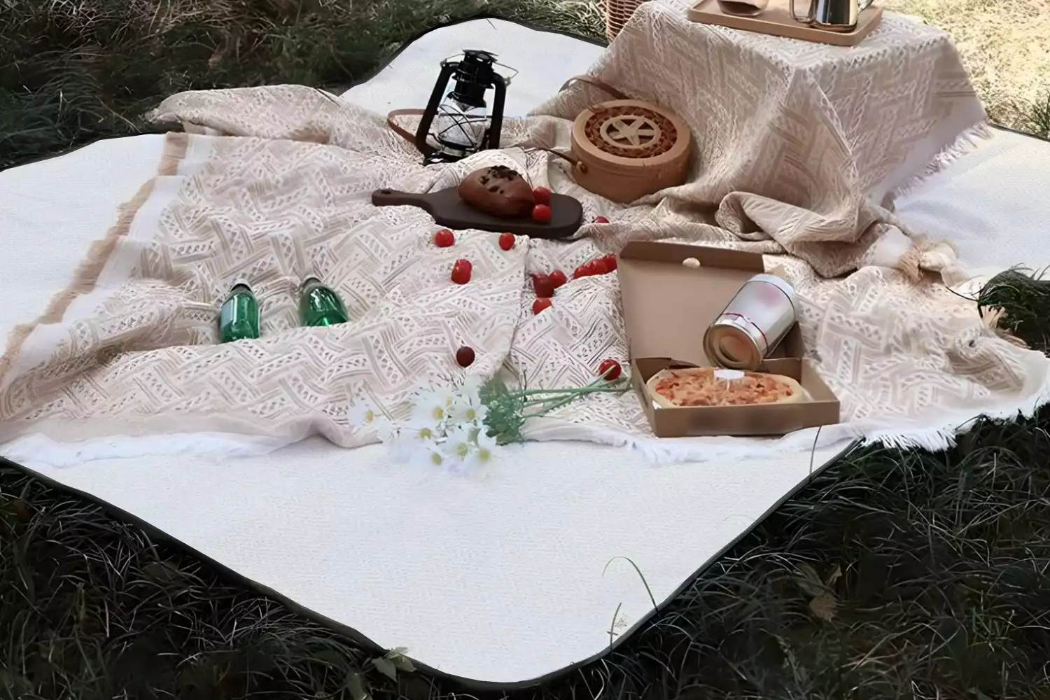 where to get a picnic blanket