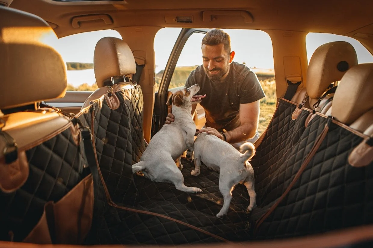 Ford Expedition back seat cover for Portuguese Water Dogs