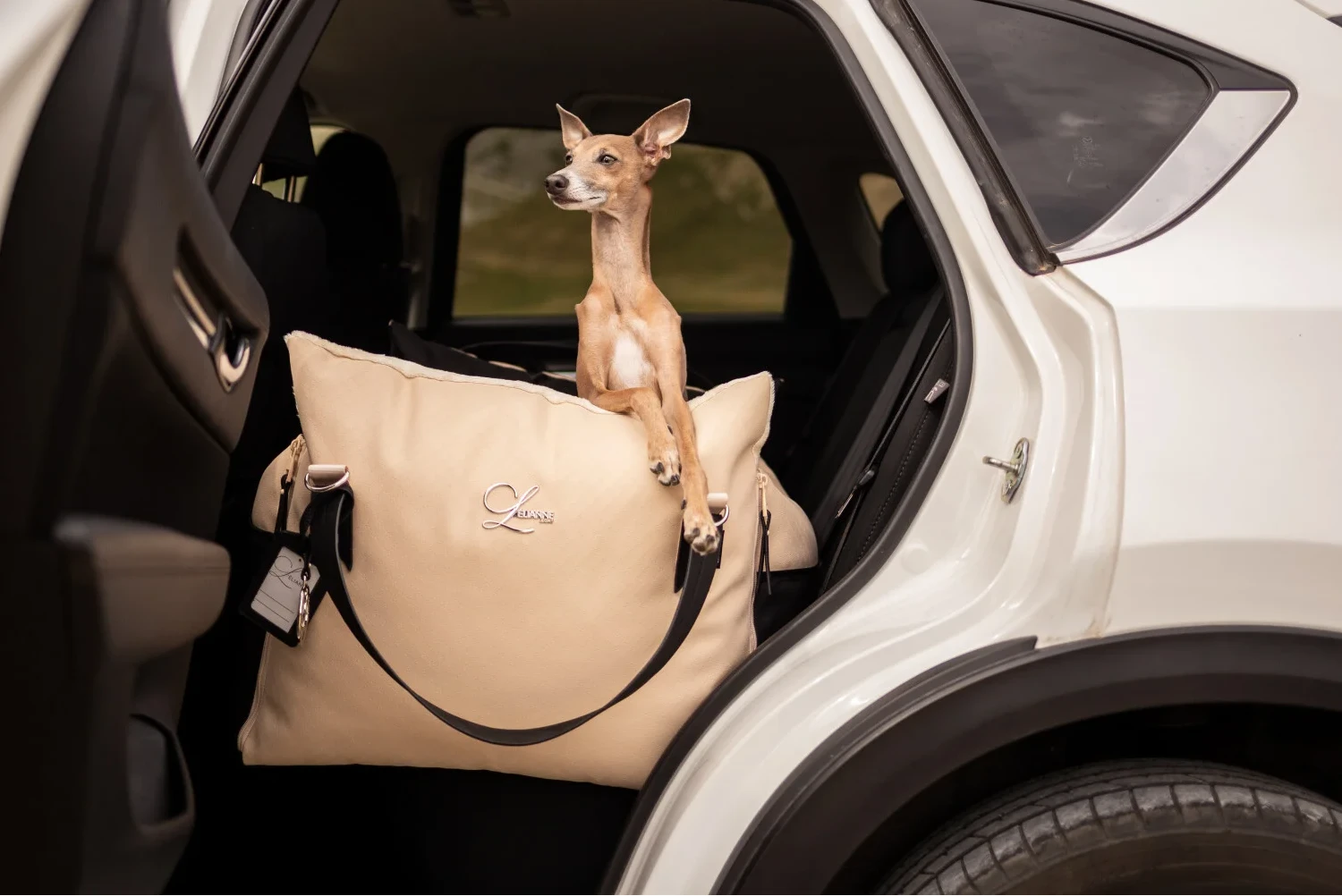 Subaru Impreza Dog Carrier Car Seat for Italian Greyhound